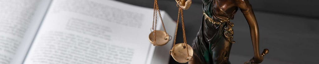 De Facto Relationships